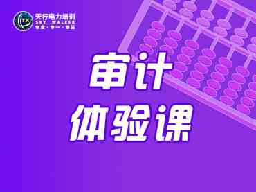 审计